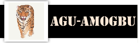 Agu-Amogbu Company Ltd.